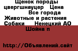 Щенок породы  цвергшнауцер › Цена ­ 30 000 - Все города Животные и растения » Собаки   . Ненецкий АО,Шойна п.